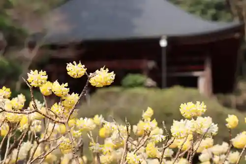 法雲寺の自然