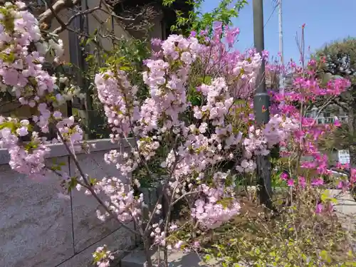 普門院(神奈川県)