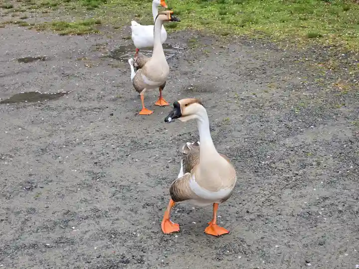 愛染院(和歌山県)