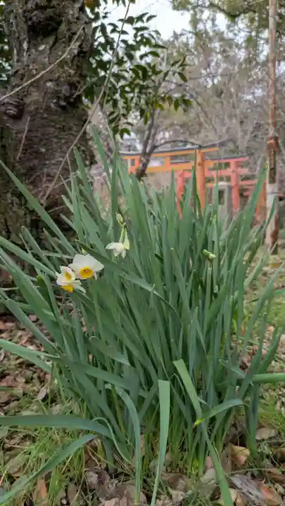 平野神社(京都府)