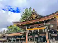 多賀大社の本殿・本堂