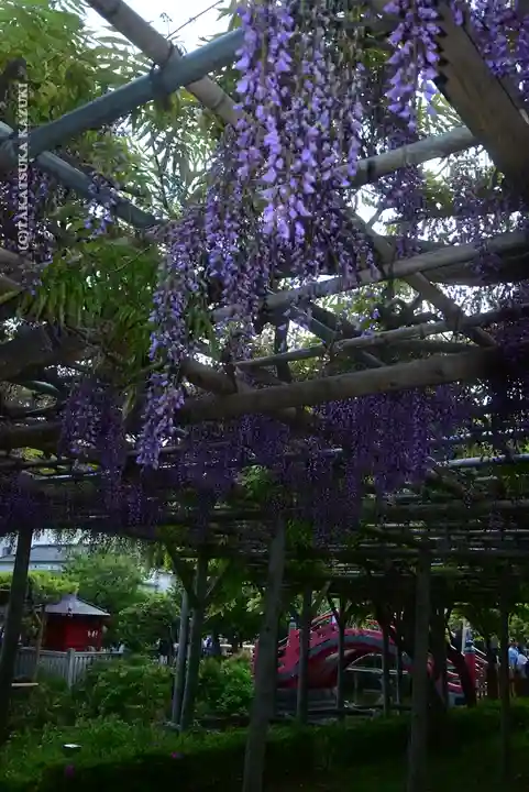 亀戸天神社(東京都)
