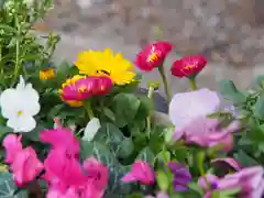 上目黒氷川神社の手水