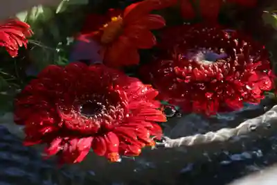 豊景神社の手水舎