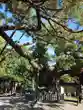 立木神社(滋賀県)