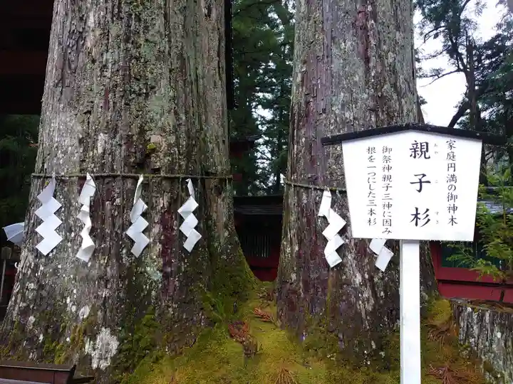 日光二荒山神社の自然