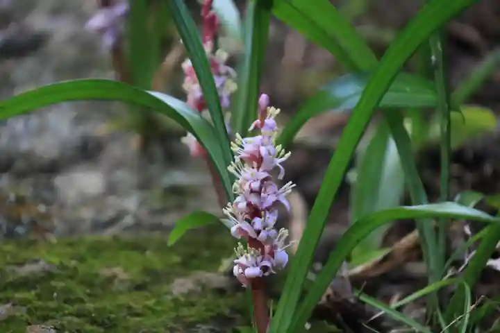 大六天麻王神社(福島県)