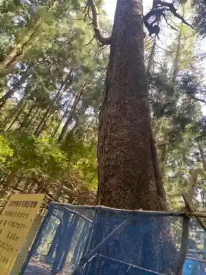 蒼前神社(岩手県)