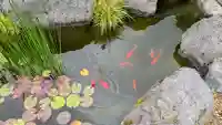 法輪寺の動物