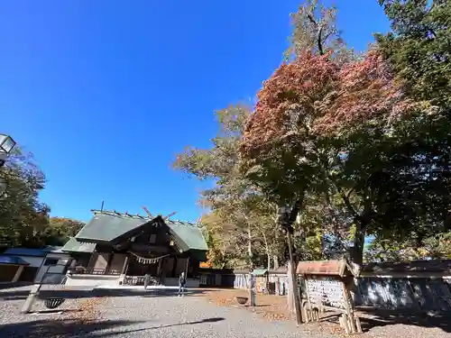 千歳神社の本殿