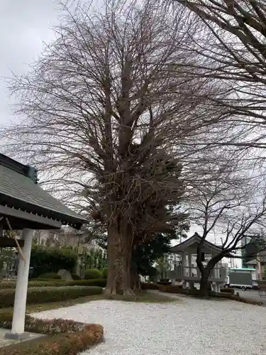 星谷寺(神奈川県)