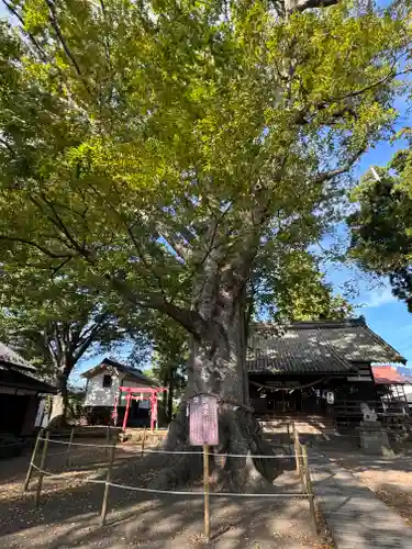 白鳥神社(長野県)