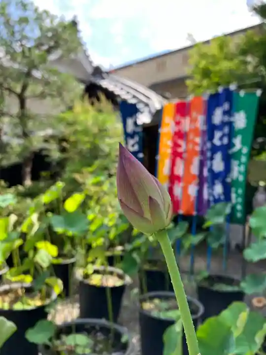 行願寺(革堂)(京都府)