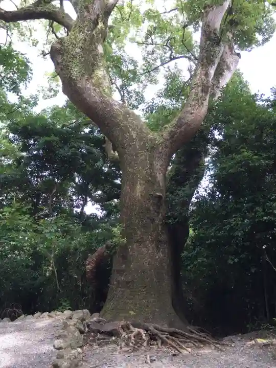 葭原神社(皇大神宮末社)の自然