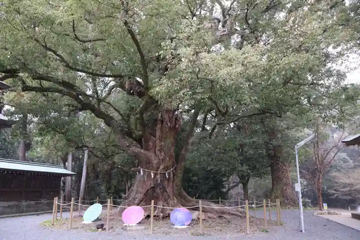 千栗八幡宮(佐賀県)