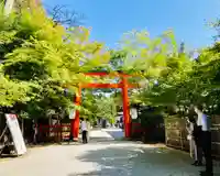 賀茂御祖神社(下鴨神社)の鳥居