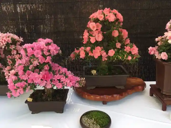 大宮八幡宮の庭園