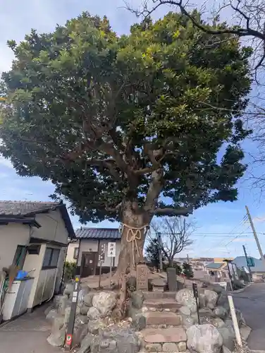 春ノ木神明社(神奈川県)