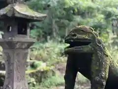 上色見熊野座神社の狛犬