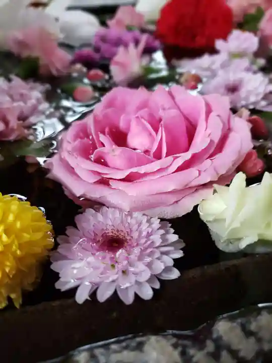 鳩森八幡神社(東京都)