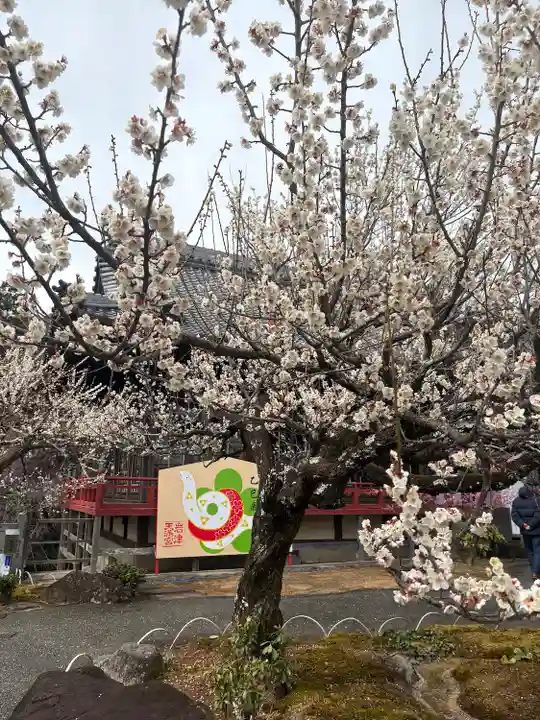 岩津天満宮の自然