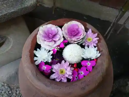 菅生神社の手水舎