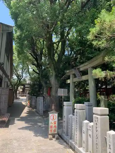 射楯兵主神社の鳥居