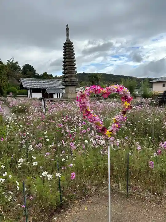 般若寺 ❁コスモス寺❁(奈良県)