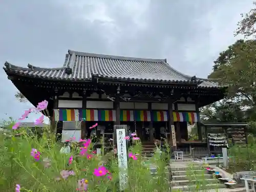 般若寺 ❁﻿コスモス寺❁の本殿