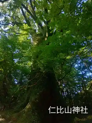 仁比山神社(佐賀県)