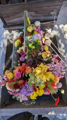 勝林寺(京都府)