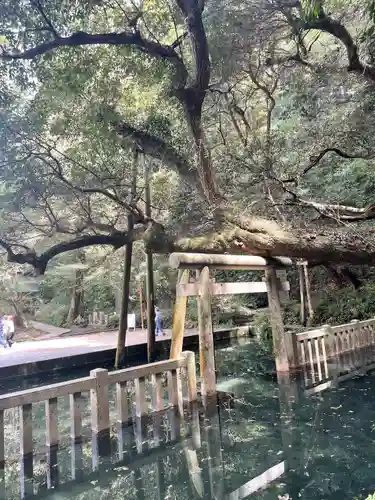 鹿島神宮(茨城県)