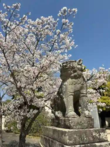 鶴羽根神社の{uncategorized: "未分類", other: "その他", undefined: "問題あり", building: "その他建物", grave: "お墓", sacred_gate: "鳥居", guardian: "狛犬", statue: "像", buddha: "仏像", history: "歴史", nature: "自然", garden: "庭園", animal: "動物", pagoda: "塔", temizu: "手水舎", mountain_gate: "山門・神門", sanctuary: "本殿・本堂", subordinate: "末社・摂社", art: "芸術", scenery: "景色", jizo: "地蔵", ema: "絵馬", goshuin: "御朱印", omikuji: "おみくじ", items: "授与品その他", amulet: "お守り", goshuincho: "御朱印帳", eats: "食事", festival: "お祭り", votive_dance: "神楽", shichigosan: "七五三参", wedding: "結婚式", experience: "体験その他", initially: "初詣", around: "周辺", anti_infection: "感染症対策"}
