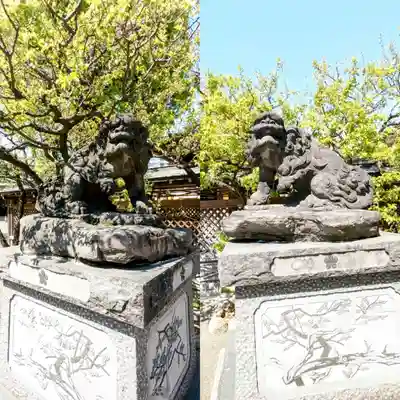 湯島天満宮の狛犬