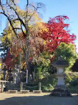 神炊館神社 ⁂奥州須賀川総鎮守⁂(福島県)