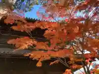 泉岳寺の自然