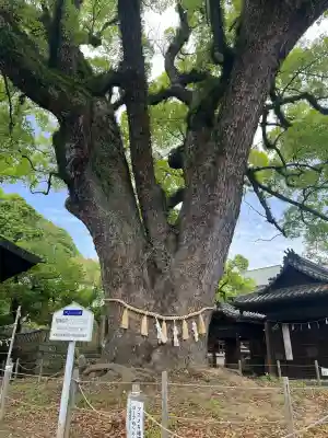 艮神社の{uncategorized: "未分類", other: "その他", undefined: "問題あり", building: "その他建物", grave: "お墓", sacred_gate: "鳥居", guardian: "狛犬", statue: "像", buddha: "仏像", history: "歴史", nature: "自然", garden: "庭園", animal: "動物", pagoda: "塔", temizu: "手水舎", mountain_gate: "山門・神門", sanctuary: "本殿・本堂", subordinate: "末社・摂社", art: "芸術", scenery: "景色", jizo: "地蔵", ema: "絵馬", goshuin: "御朱印", omikuji: "おみくじ", items: "授与品その他", amulet: "お守り", goshuincho: "御朱印帳", eats: "食事", festival: "お祭り", votive_dance: "神楽", shichigosan: "七五三参", wedding: "結婚式", experience: "体験その他", initially: "初詣", around: "周辺", anti_infection: "感染症対策"}