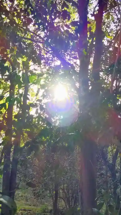 天野神社の自然