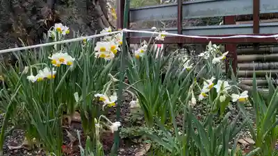 上宮天満宮(大阪府)