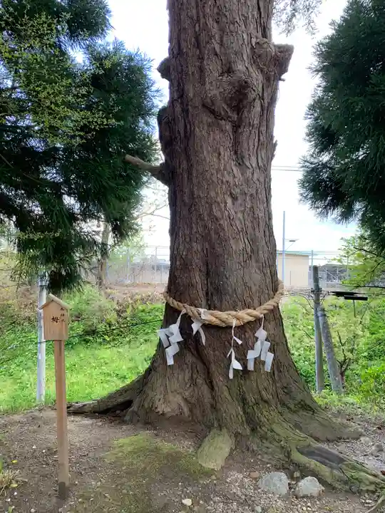 花巻神社の自然