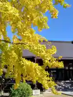 浄光寺(愛知県)