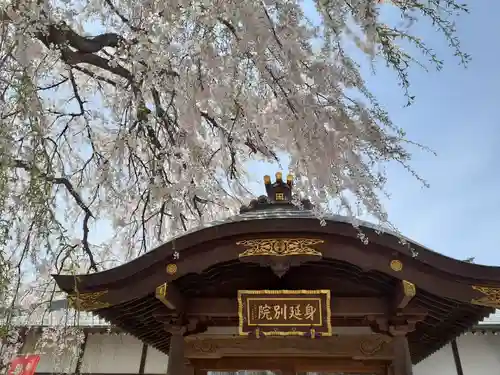 身照寺の建物その他