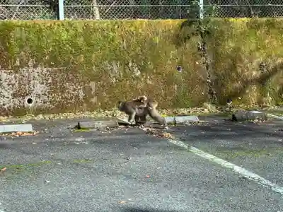 久遠寺(山梨県)