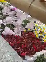 群馬県護国神社(群馬県)