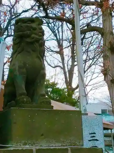 手稲神社の狛犬