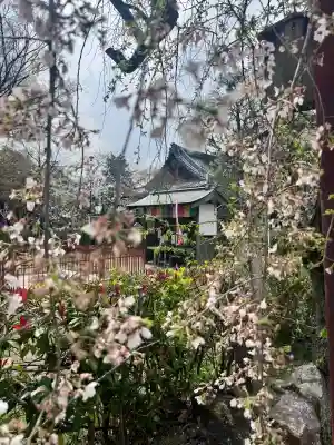長建寺の{uncategorized: "未分類", other: "その他", undefined: "問題あり", building: "その他建物", grave: "お墓", sacred_gate: "鳥居", guardian: "狛犬", statue: "像", buddha: "仏像", history: "歴史", nature: "自然", garden: "庭園", animal: "動物", pagoda: "塔", temizu: "手水舎", mountain_gate: "山門・神門", sanctuary: "本殿・本堂", subordinate: "末社・摂社", art: "芸術", scenery: "景色", jizo: "地蔵", ema: "絵馬", goshuin: "御朱印", omikuji: "おみくじ", items: "授与品その他", amulet: "お守り", goshuincho: "御朱印帳", eats: "食事", festival: "お祭り", votive_dance: "神楽", shichigosan: "七五三参", wedding: "結婚式", experience: "体験その他", initially: "初詣", around: "周辺", anti_infection: "感染症対策"}