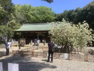 上地八幡宮の本殿・本堂