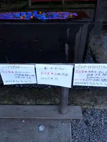 前玉神社の手水