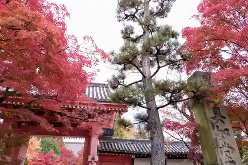 真正極楽寺（真如堂）(京都府)