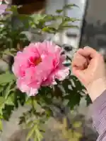 梅香寺(三重県)